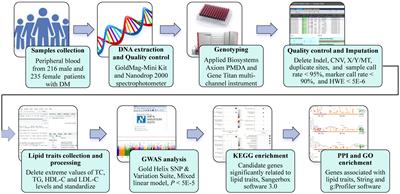 Genome-wide association study of blood lipid levels in Southern Han Chinese adults with prediabetes